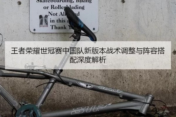 王者荣耀世冠赛中国队新版本战术调整与阵容搭配深度解析