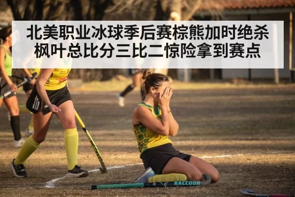 hockey goal celebration